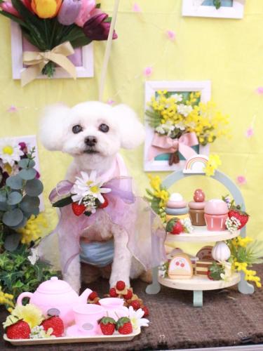 20230309コロンくん